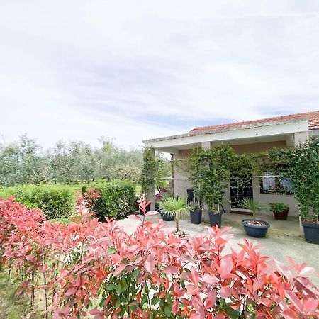 Olive Apartment Podgorica Luaran gambar