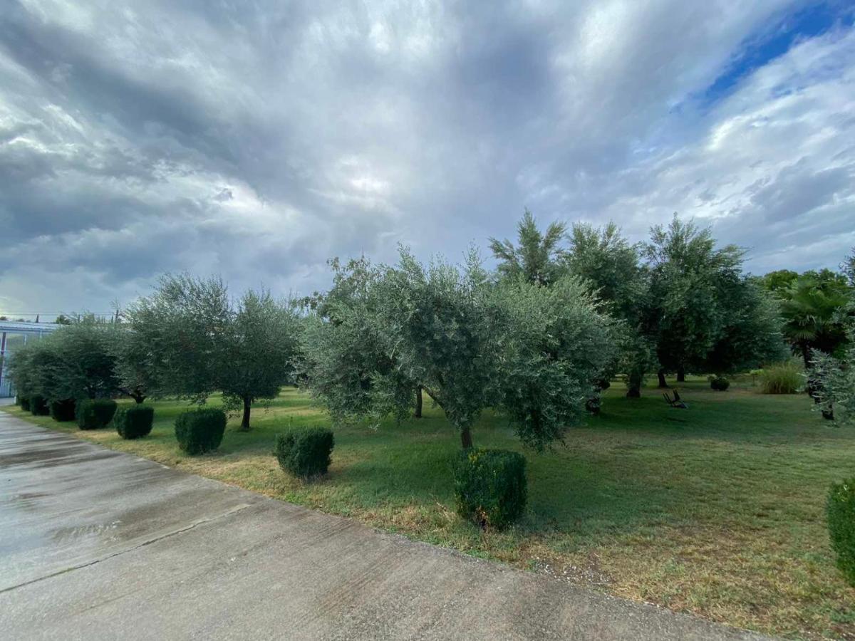 Olive Apartment Podgorica Luaran gambar