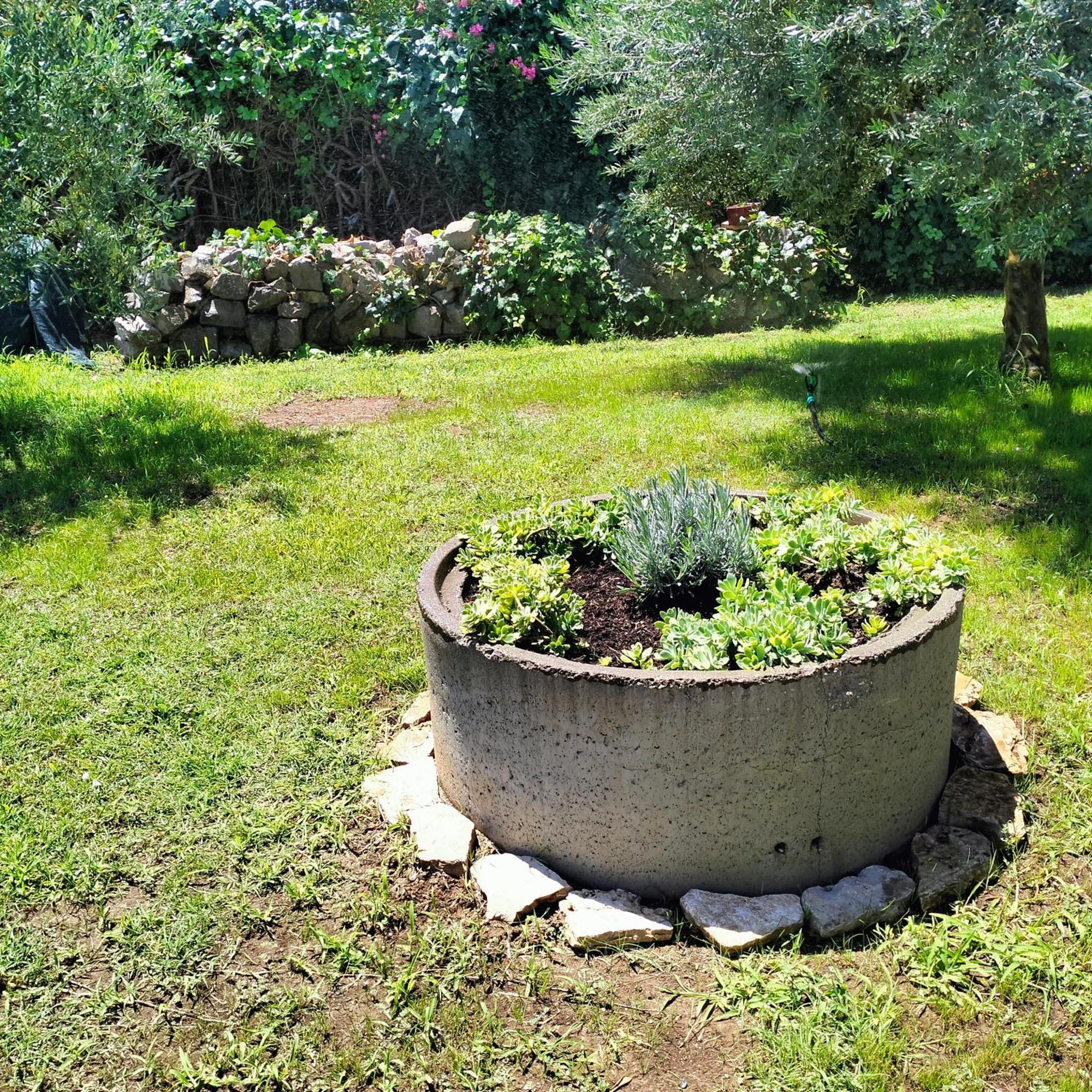 Olive Apartment Podgorica Luaran gambar