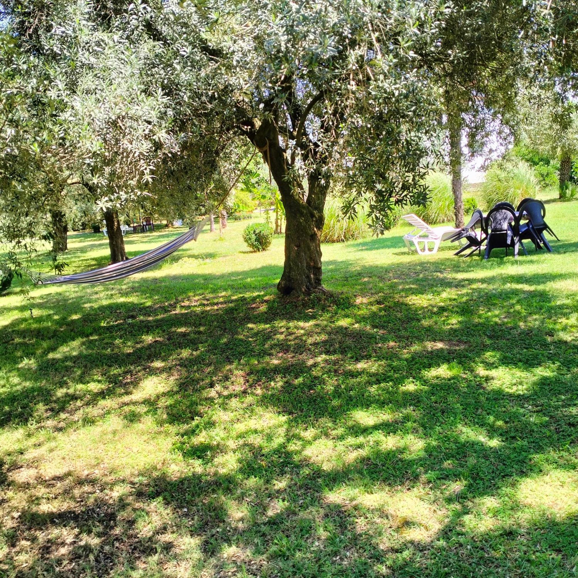 Olive Apartment Podgorica Luaran gambar