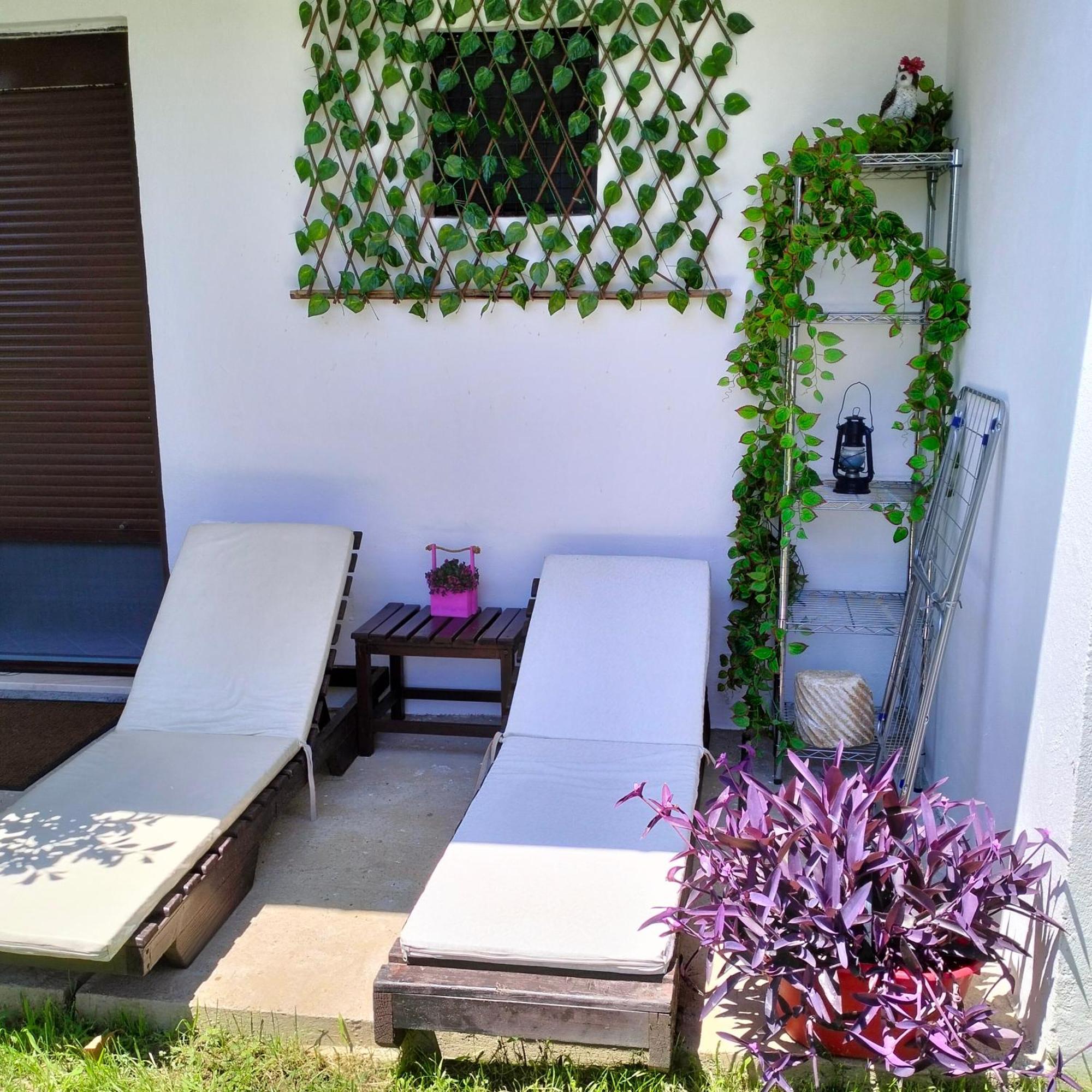 Olive Apartment Podgorica Luaran gambar