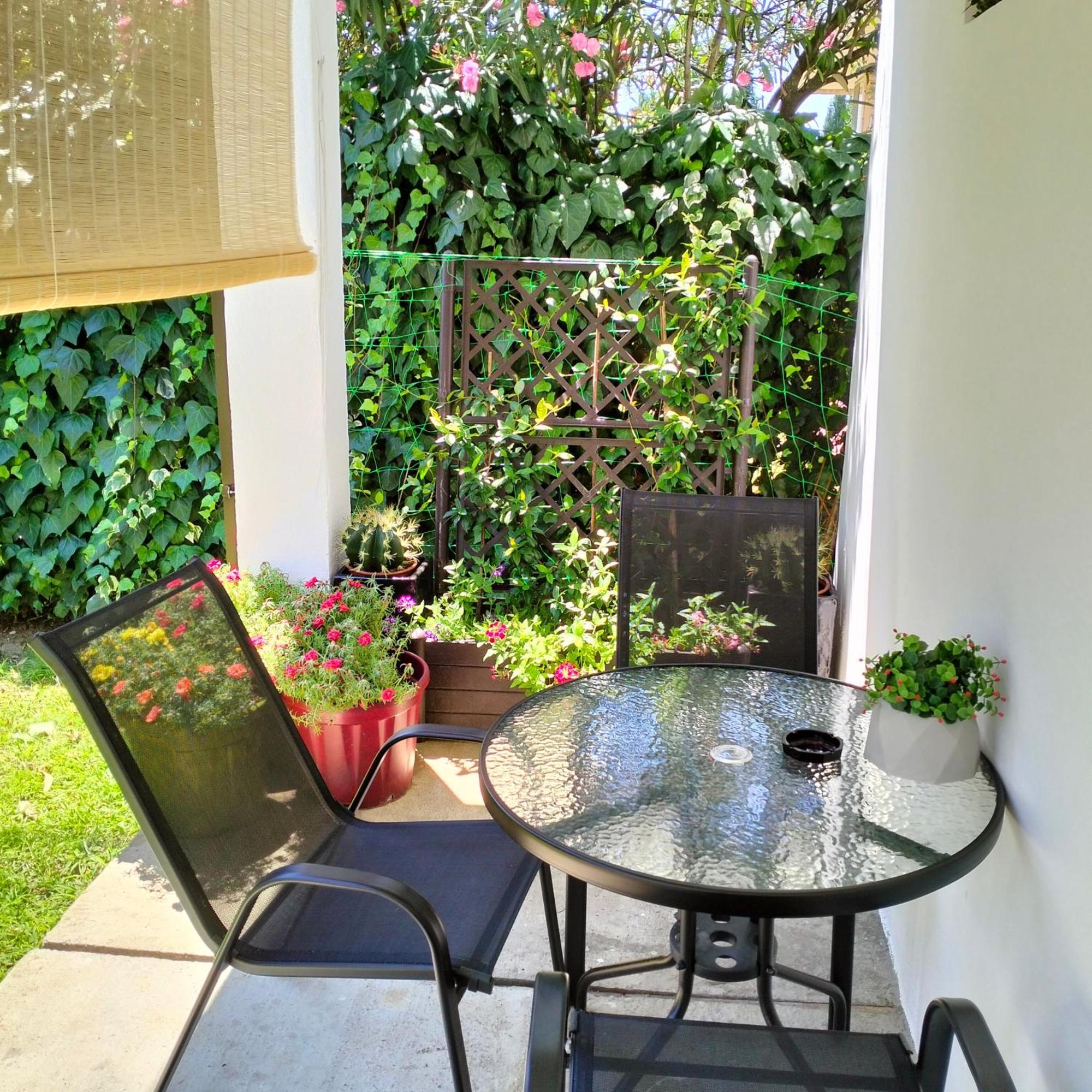 Olive Apartment Podgorica Luaran gambar