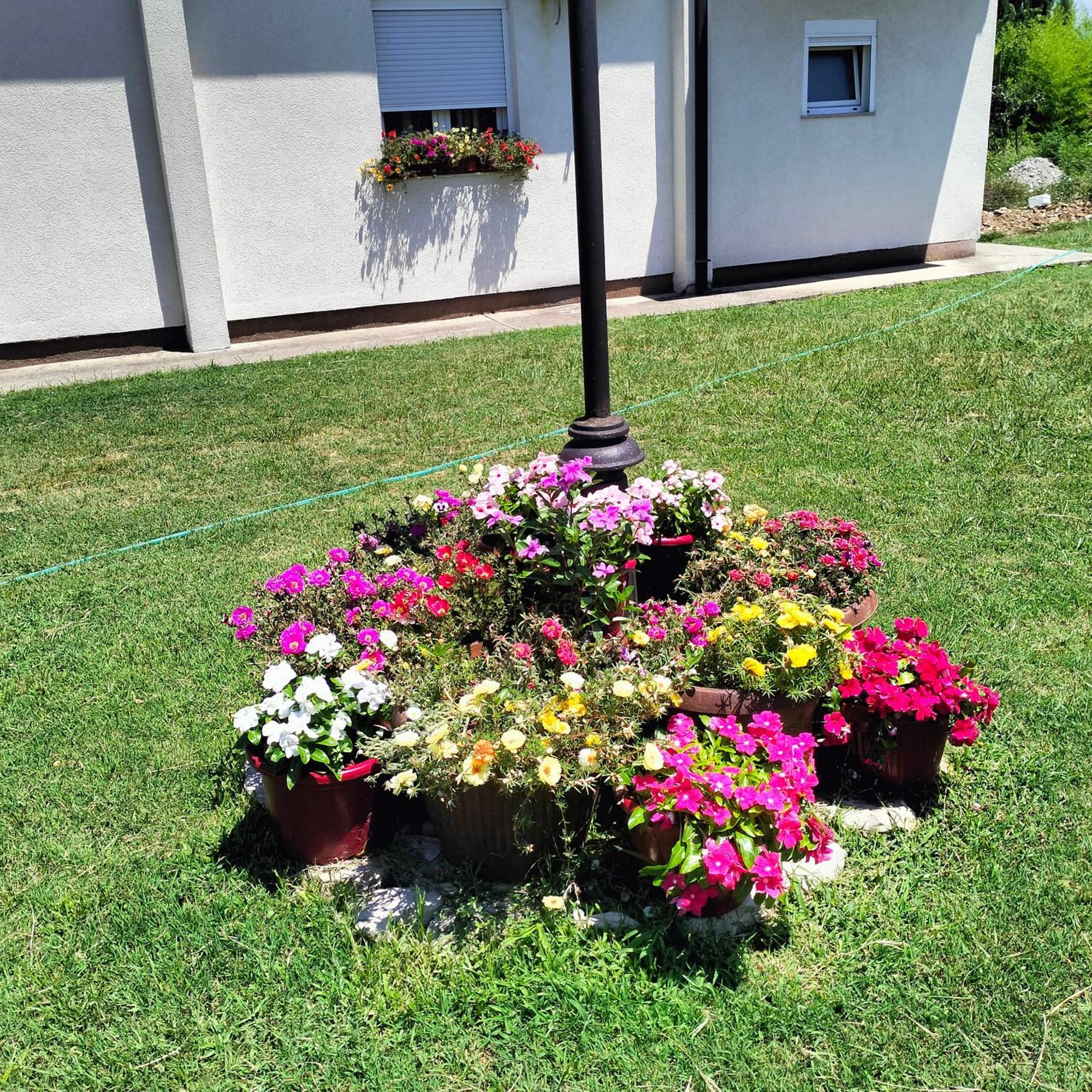 Olive Apartment Podgorica Luaran gambar