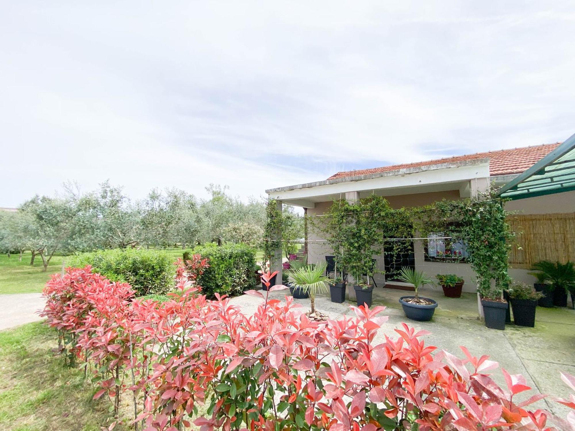 Olive Apartment Podgorica Luaran gambar